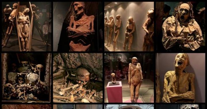 Neobični muzeji svijeta: falusi i kosa, mrtvi i smrt (fotografija)